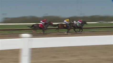98th season of live horse racing in Collinsville, Illinois today
